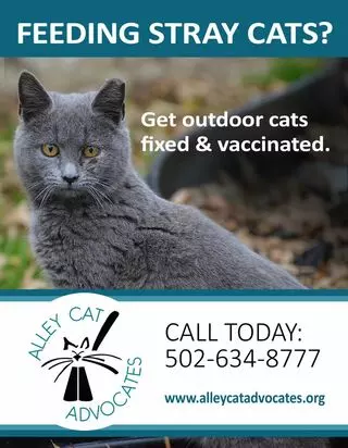 Alley Cat Advocates