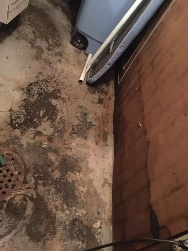 911 Restoration of Louisville