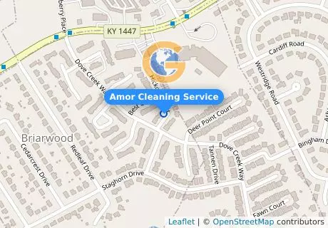 Amor Cleaning Service