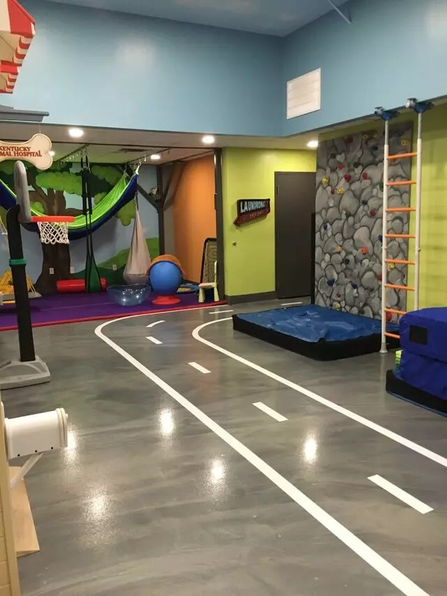 Associates in Pediatric Therapy
