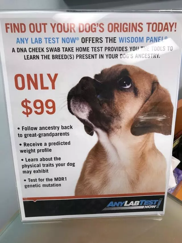 Any Lab Test Now Louisville