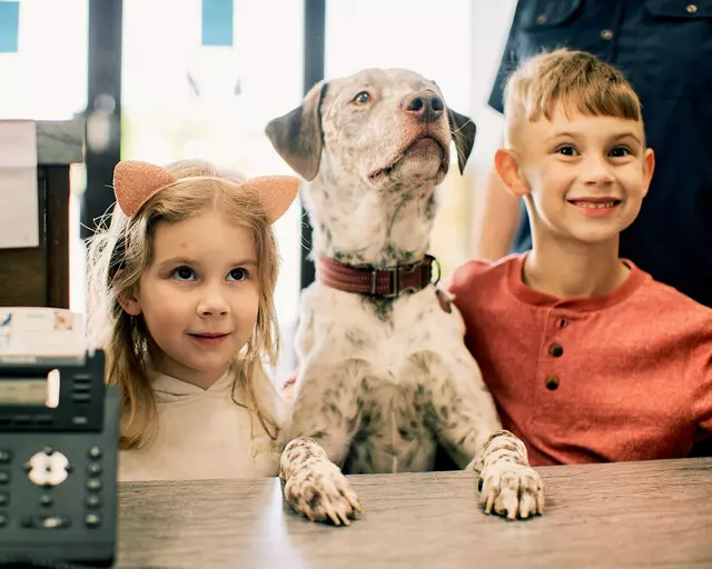 PetVet365 Pet Hospital Louisville / Jeffersontown