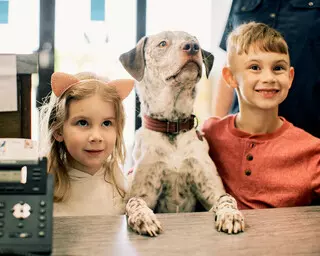 PetVet365 Pet Hospital Louisville / Jeffersontown