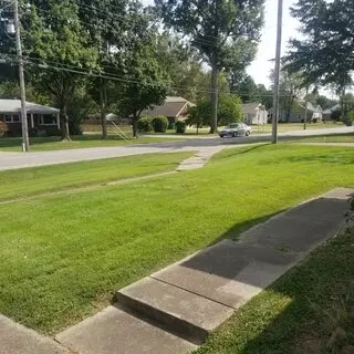 Elite Lawn Care Specialists