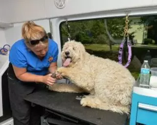 Aussie Pet Mobile Louisville NE