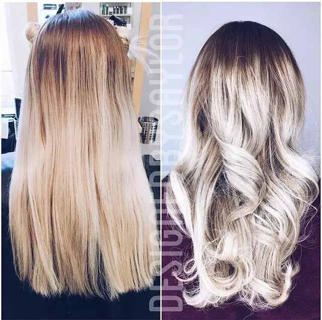 Another Wild Hair