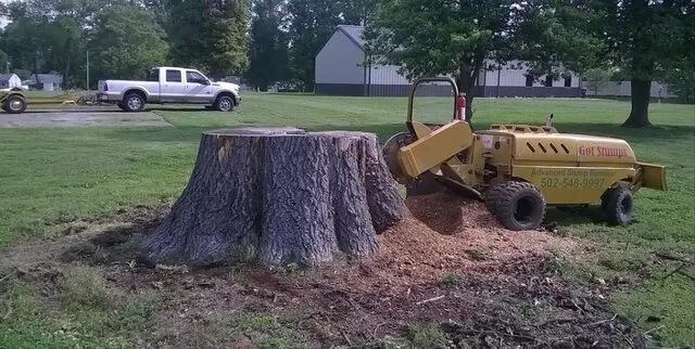 Advanced Stump Removal
