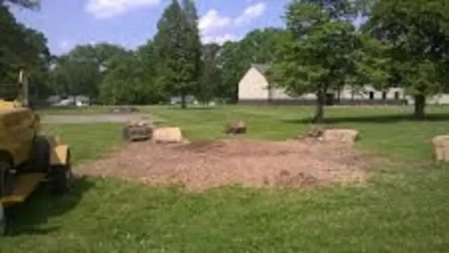 Advanced Stump Removal