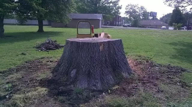 Advanced Stump Removal