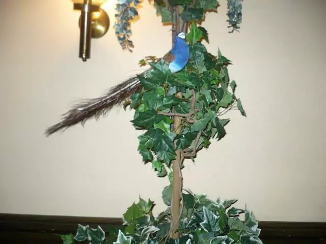 A English Design