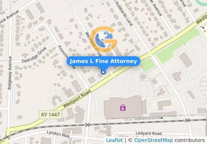 James L Fine Attorney