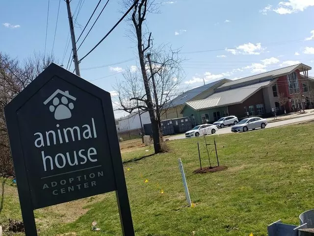 Animal House Adoption Center