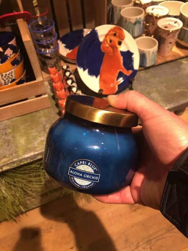 Anthropologie
