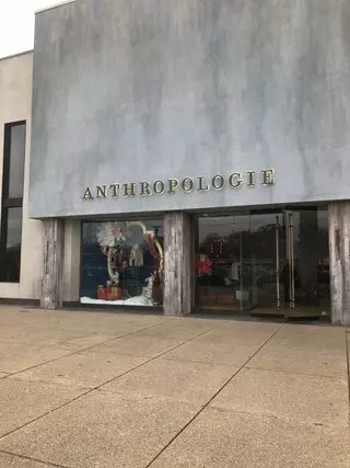 Anthropologie