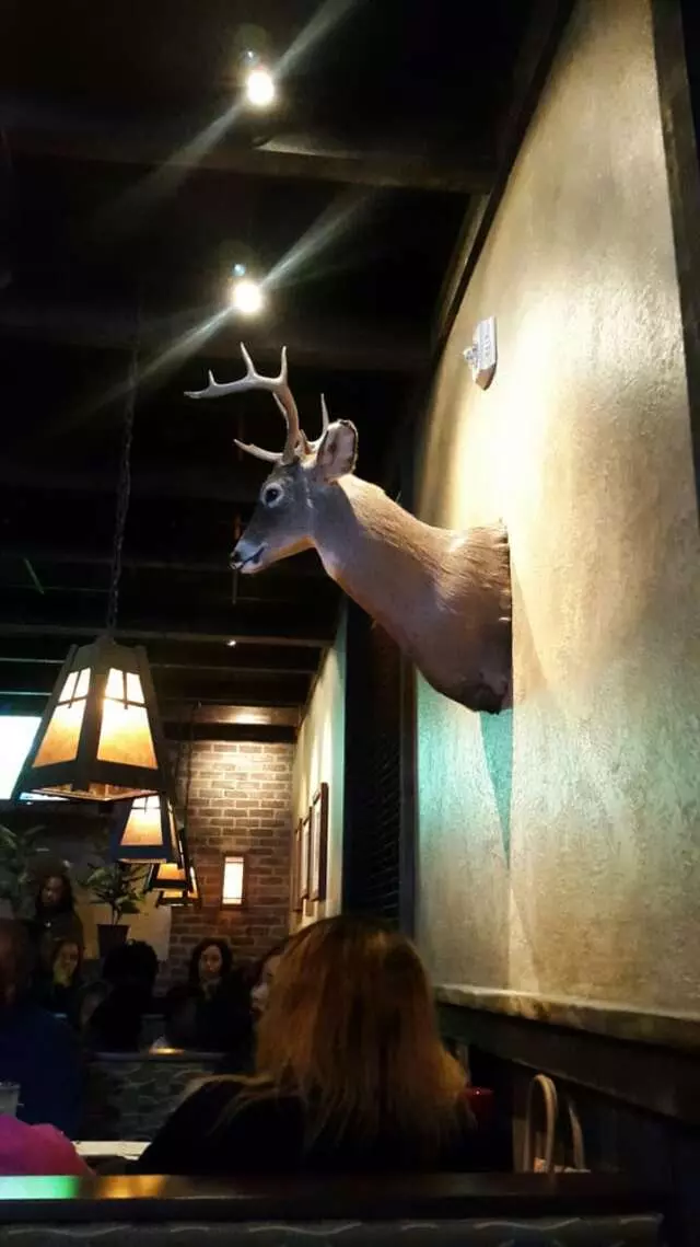 Aspen Creek Grill