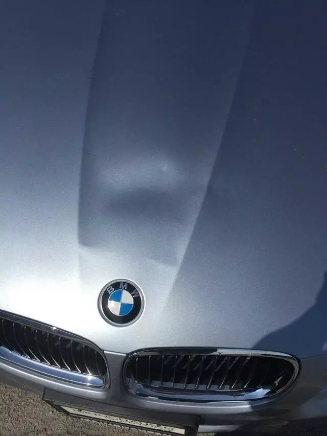 AcuDENT-Paintless Dent Repair