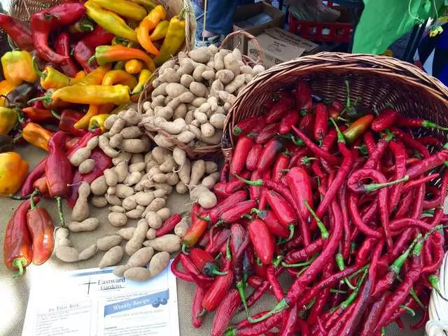 Rainbow Blossom Natural Food Markets, St. Matthews