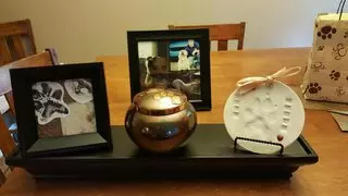 Borden Pet Crematory & Memorial Center