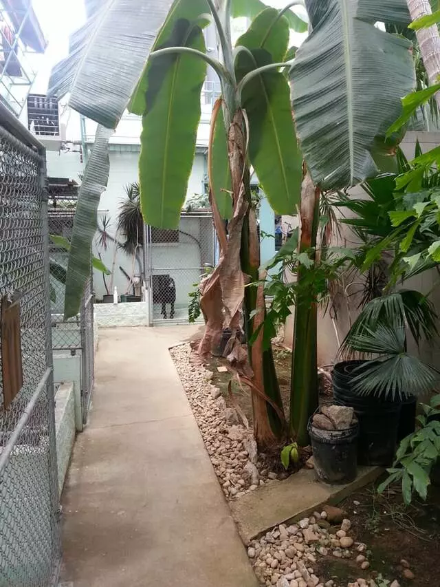 Audubon Animal Medical Center
