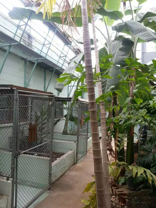 Audubon Animal Medical Center