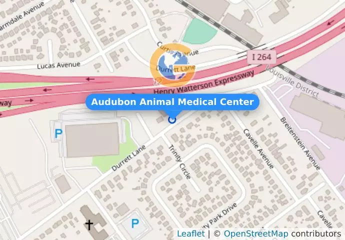 Audubon Animal Medical Center