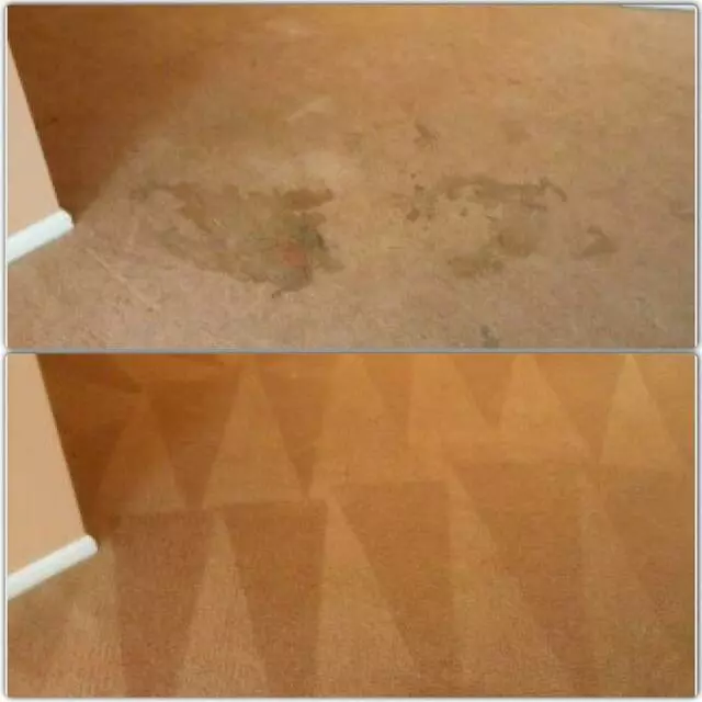 Advanced Carpet Cleaning