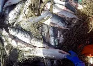 St. Brendan's Seafood