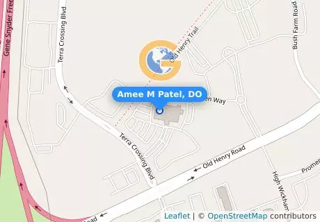 Amee M Patel, DO
