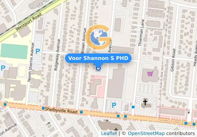 Voor Shannon S PHD