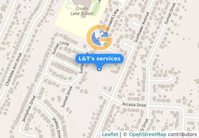 L&T&apos;s services