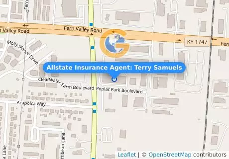 Allstate Insurance Agent:  Terry Samuels