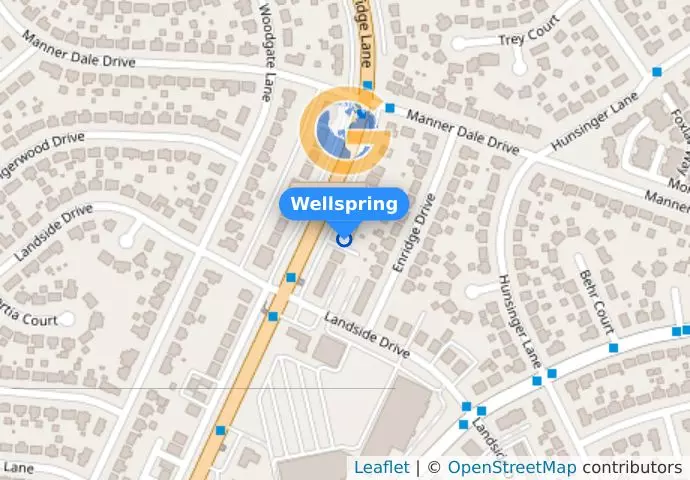 Wellspring