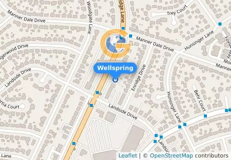 Wellspring